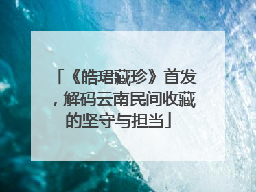 《皓珺藏珍》首发，解码云南民间收藏的坚守与担当