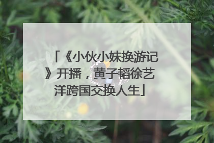 《小伙小妹换游记》开播，黄子韬徐艺洋跨国交换人生