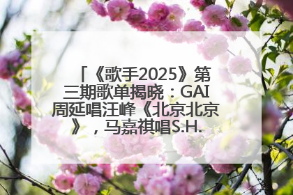 《歌手2025》第三期歌单揭晓：GAI周延唱汪峰《北京北京》，马嘉祺唱S.H.E《你曾是少年》