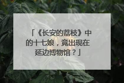《长安的荔枝》中的十七娘，竟出现在延边博物馆？