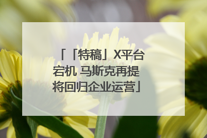 「特稿」X平台宕机 马斯克再提将回归企业运营