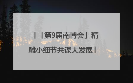 「第9届南博会」精雕小细节共谋大发展