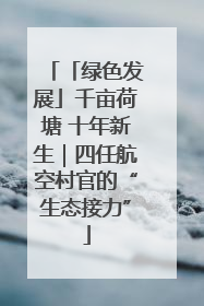 「绿色发展」千亩荷塘 十年新生｜四任航空村官的“生态接力”