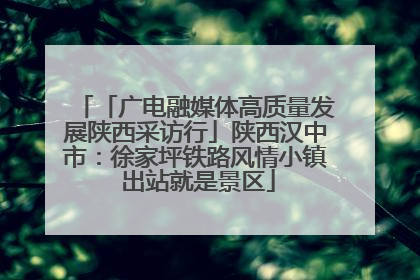 「广电融媒体高质量发展陕西采访行」陕西汉中市：徐家坪铁路风情小镇 出站就是景区