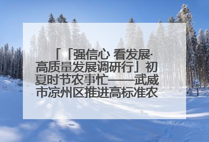 「强信心 看发展·高质量发展调研行」初夏时节农事忙——武威市凉州区推进高标准农田建设见闻