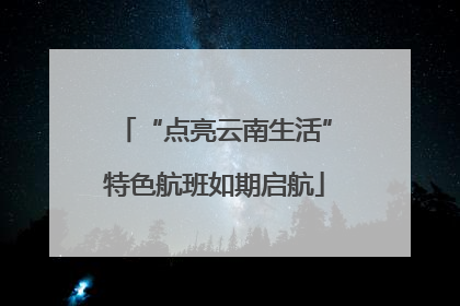 “点亮云南生活”特色航班如期启航