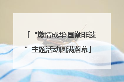 “燃情成华·国潮非遗”主题活动圆满落幕