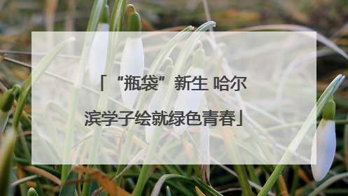 “瓶袋”新生 哈尔滨学子绘就绿色青春