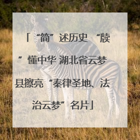 “简”述历史 “牍”懂中华 湖北省云梦县擦亮“秦律圣地、法治云梦”名片