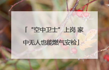 “空中卫士”上岗 家中无人也能燃气安检