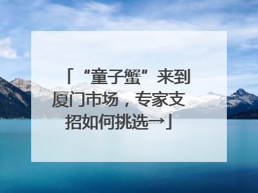“童子蟹”来到厦门市场，专家支招如何挑选→