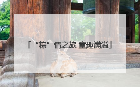 “粽”情之旅 童趣满溢