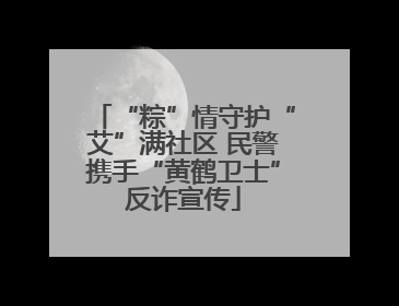 “粽”情守护“艾”满社区 民警携手“黄鹤卫士”反诈宣传