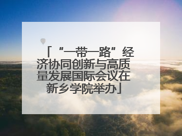 “一带一路”经济协同创新与高质量发展国际会议在新乡学院举办