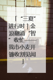 “三夏”进行时｜金浪翻涌“智”收忙——我市小麦开镰收割见闻