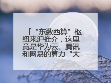“东数西算”枢纽来沪推介，这里竟是华为云、腾讯和网易的算力“大本营”