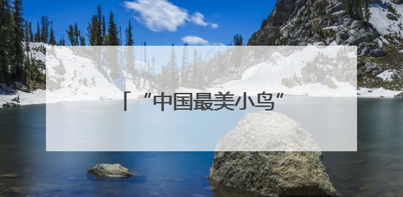 “中国最美小鸟”现身武汉新洲沙河
