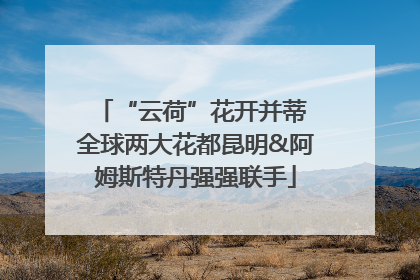“云荷”花开并蒂 全球两大花都昆明&阿姆斯特丹强强联手