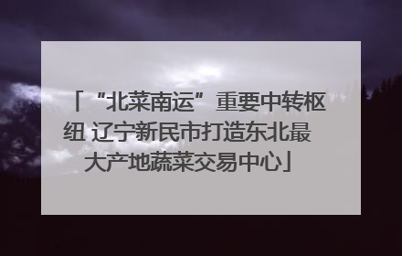“北菜南运”重要中转枢纽 辽宁新民市打造东北最大产地蔬菜交易中心