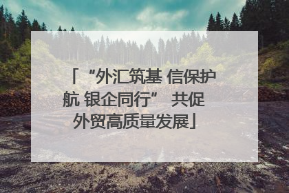“外汇筑基 信保护航 银企同行” 共促外贸高质量发展