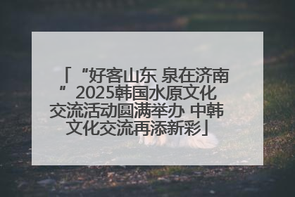“好客山东 泉在济南”2025韩国水原文化交流活动圆满举办 中韩文化交流再添新彩