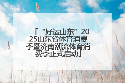 “好运山东”2025山东省体育消费季暨济南潮流体育消费季正式启动