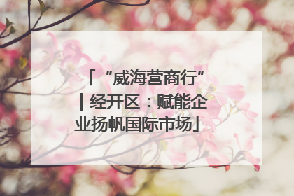 “威海营商行”｜经开区：赋能企业扬帆国际市场