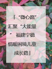 “微心愿”汇聚“大能量” 福建宁德情暖困境儿童成长路