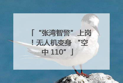 “张湾智警”上岗！无人机变身 “空中 110”