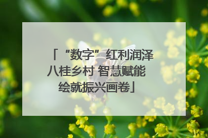 “数字”红利润泽八桂乡村 智慧赋能绘就振兴画卷