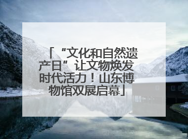 “文化和自然遗产日”让文物焕发时代活力！山东博物馆双展启幕