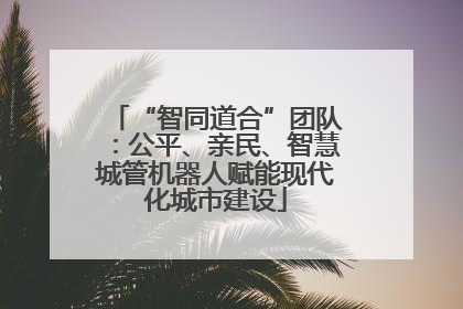 “智同道合”团队：公平、亲民、智慧城管机器人赋能现代化城市建设