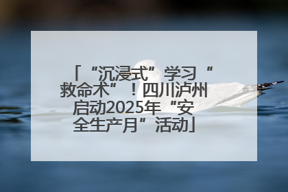 “沉浸式”学习“救命术”！四川泸州启动2025年“安全生产月”活动