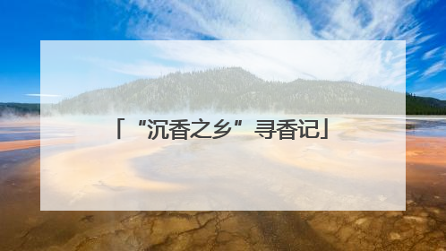 “沉香之乡”寻香记