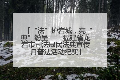 “法”护岩城，亮“典”纷呈——福建省龙岩市司法局民法典宣传月普法活动纪实