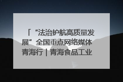 “法治护航高质量发展”全国重点网络媒体青海行｜青海食品工业协会：架起“青字号”美食的产业化桥梁