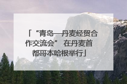 “青岛—丹麦经贸合作交流会” 在丹麦首都哥本哈根举行