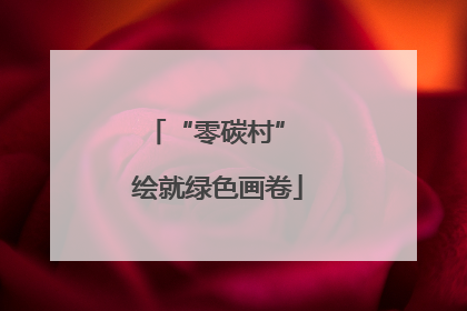 “零碳村” 绘就绿色画卷