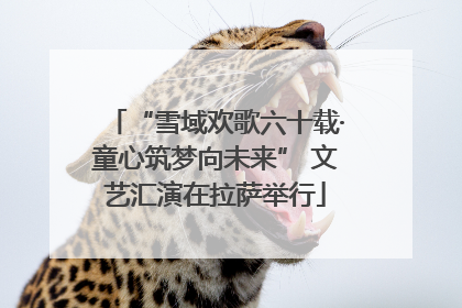 “雪域欢歌六十载·童心筑梦向未来” 文艺汇演在拉萨举行