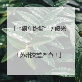 “飙车炸街”？曝光！苏州交警严查！