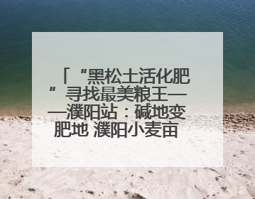 “黑松土活化肥”寻找最美粮王——濮阳站：碱地变肥地 濮阳小麦亩产1500多斤