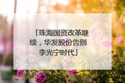 珠海国资改革继续，华发股份告别李光宁时代