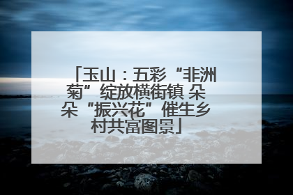 玉山：五彩“非洲菊”绽放横街镇 朵朵“振兴花”催生乡村共富图景