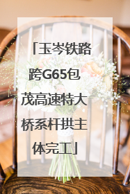 玉岑铁路跨G65包茂高速特大桥系杆拱主体完工