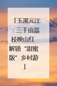玉溪元江：三千亩荔枝映山红 解锁“甜蜜版”乡村游