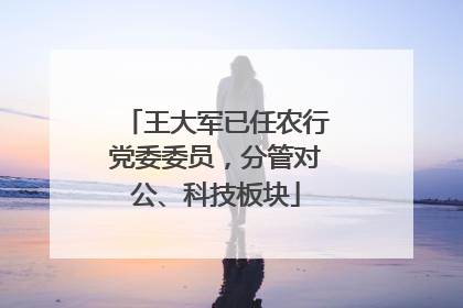王大军已任农行党委委员，分管对公、科技板块