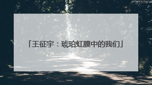 王征宇：琥珀虹膜中的我们