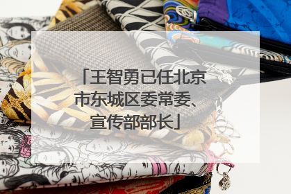 王智勇已任北京市东城区委常委、宣传部部长