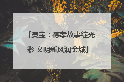 灵宝：德孝故事绽光彩 文明新风润金城