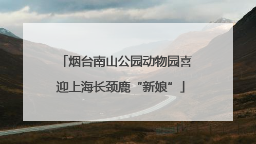 烟台南山公园动物园喜迎上海长颈鹿“新娘”